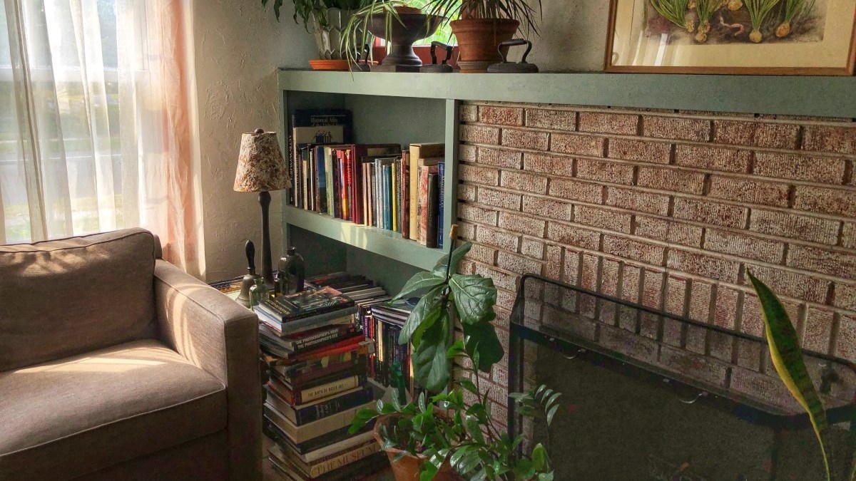 Living room with plants