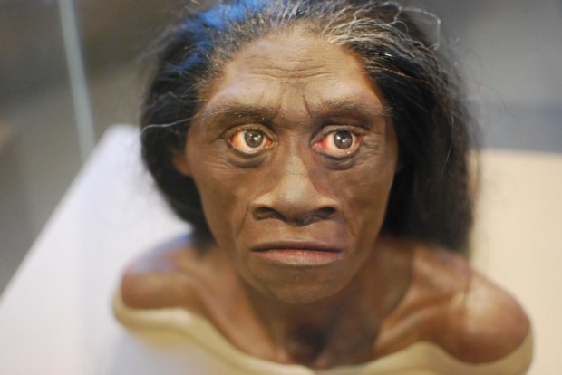 A reconstruction of homo floresiensis