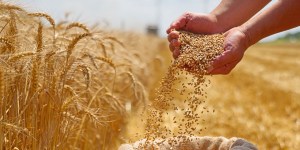 How the Eucharist reminds us to give thanks for creation