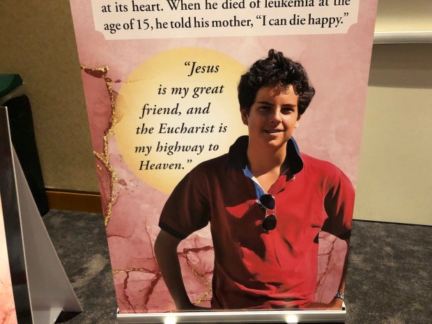 Carlo Acutis Eucharistic Miracle display