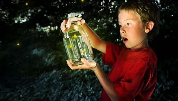 Boy with fireflies in jar