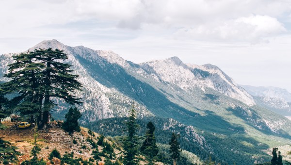 Corner Item Image - Did you know Lebanon is in the Bible more than 70 times?