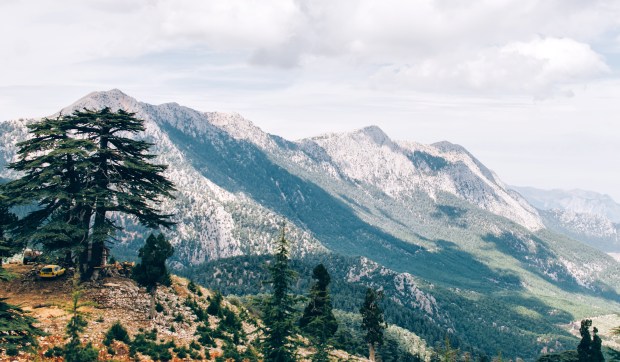 Corner Hero Image - Did you know Lebanon is in the Bible more than 70 times?