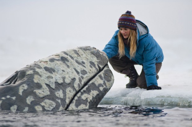 Drew Barrymore in "Big Miracle" (2012)