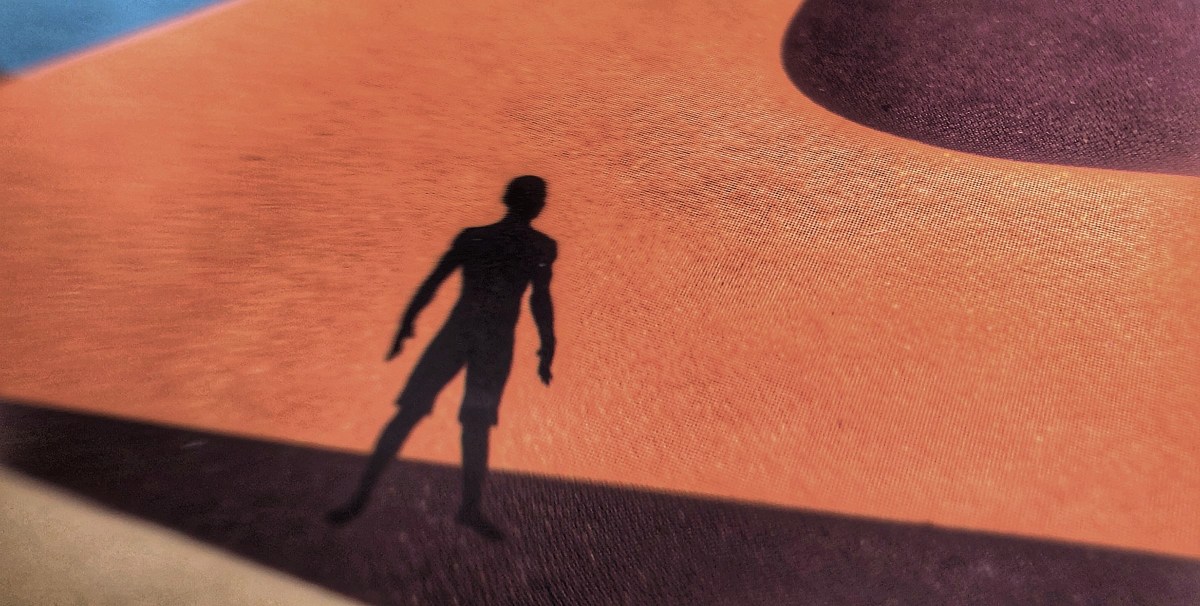 "Little Brother" by Ibrahima Balde and Amets Arzallus Antia, Cover detail