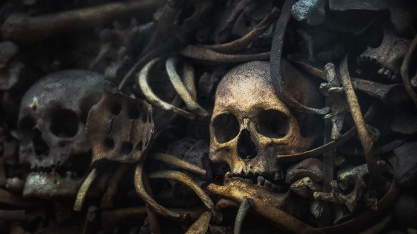 Bones, Memento Mori