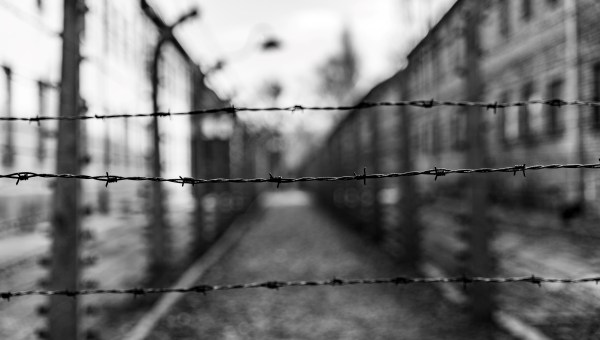 Barbed wire in Auschwitz concentration camp