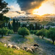 Stickers Item image #11