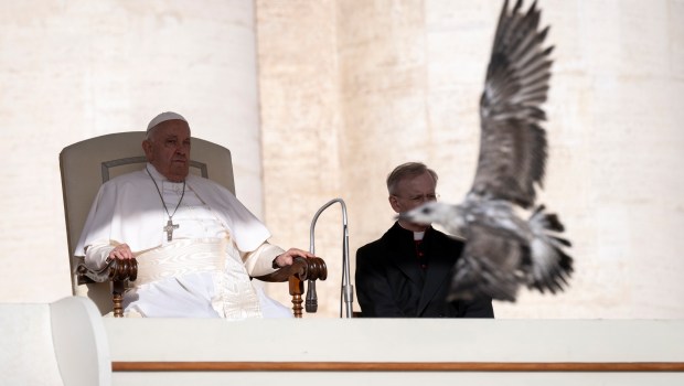 Pope Francis during his weekly general audience in St. Peter's square at the Vatican on September 18, 2024