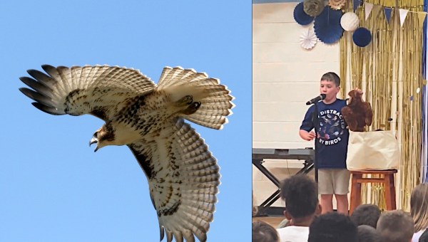 Boy, Samuel, doing bird calls
