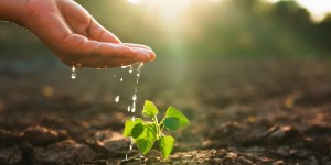 How the Holy Spirit can be compared to living water