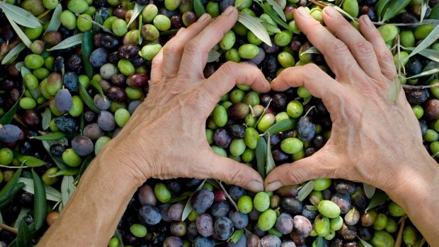 Taggiasca Olives, Heart Hands