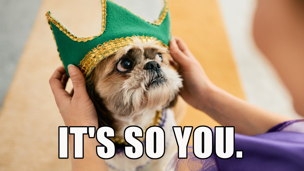 "IT'S SO YOU" dog meme