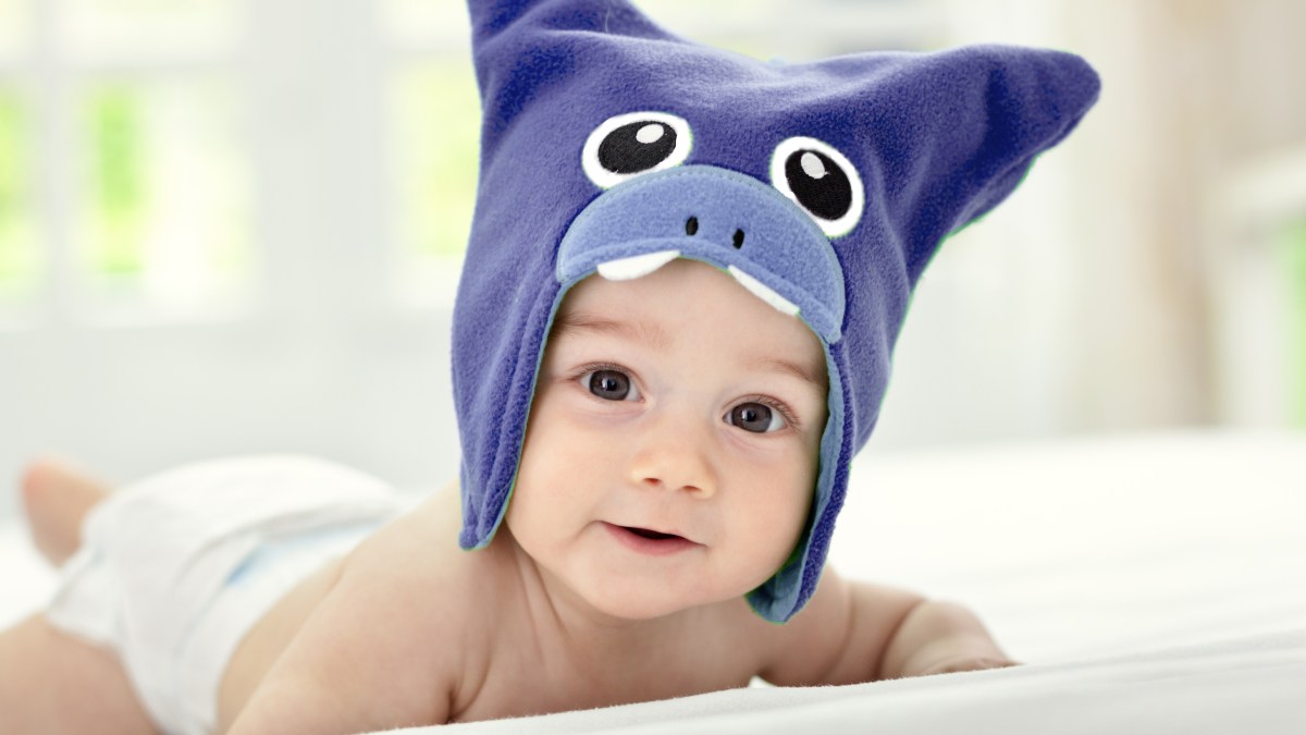 Baby boy purple hat