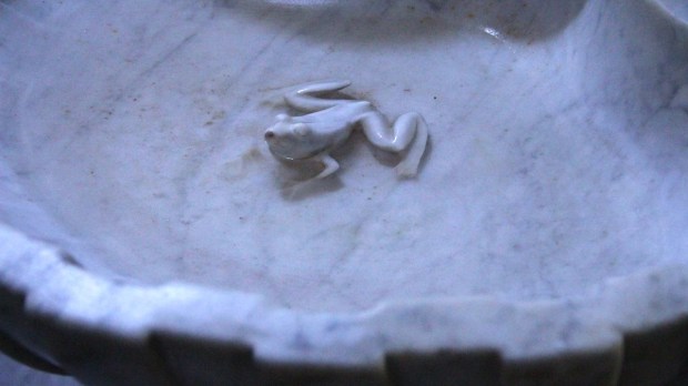 Photo of a marble holy water font or stoup, sculpted with a frog inside, in the Basilica of St. Paul Serge in Narbonne, France