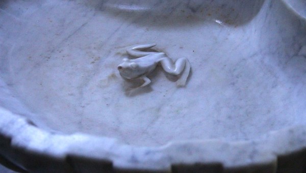 Photo of a marble holy water font or stoup, sculpted with a frog inside, in the Basilica of St. Paul Serge in Narbonne, France