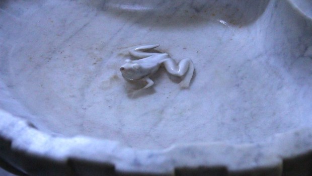 Photo of a marble holy water font or stoup, sculpted with a frog inside, in the Basilica of St. Paul Serge in Narbonne, France