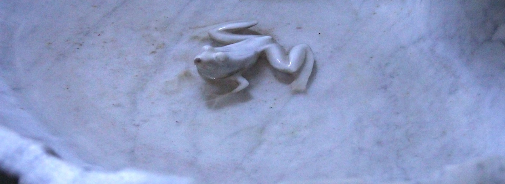 Photo of a marble holy water font or stoup, sculpted with a frog inside, in the Basilica of St. Paul Serge in Narbonne, France