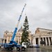 Watch the Vatican Christmas tree rise in 30 seconds (Video)