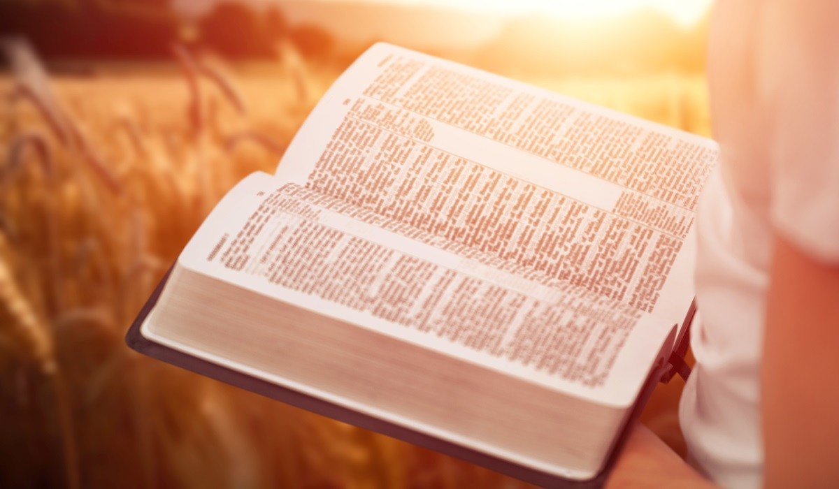Bible in field
