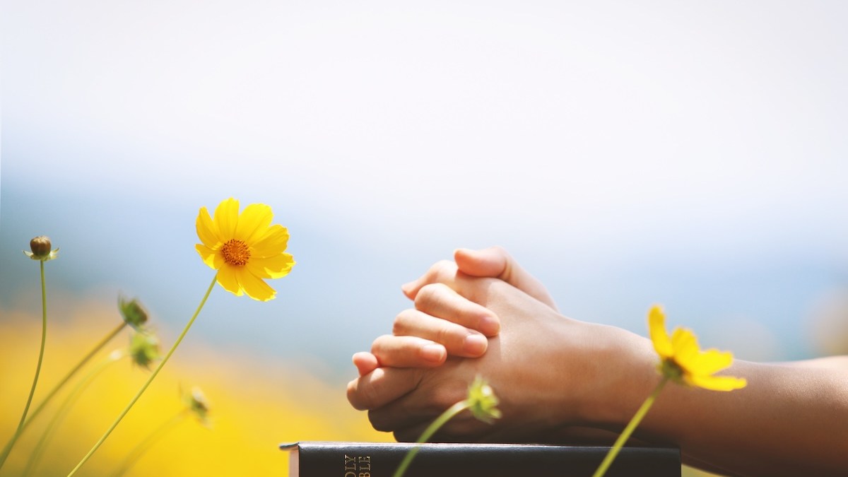 Bible prayer spring hope
