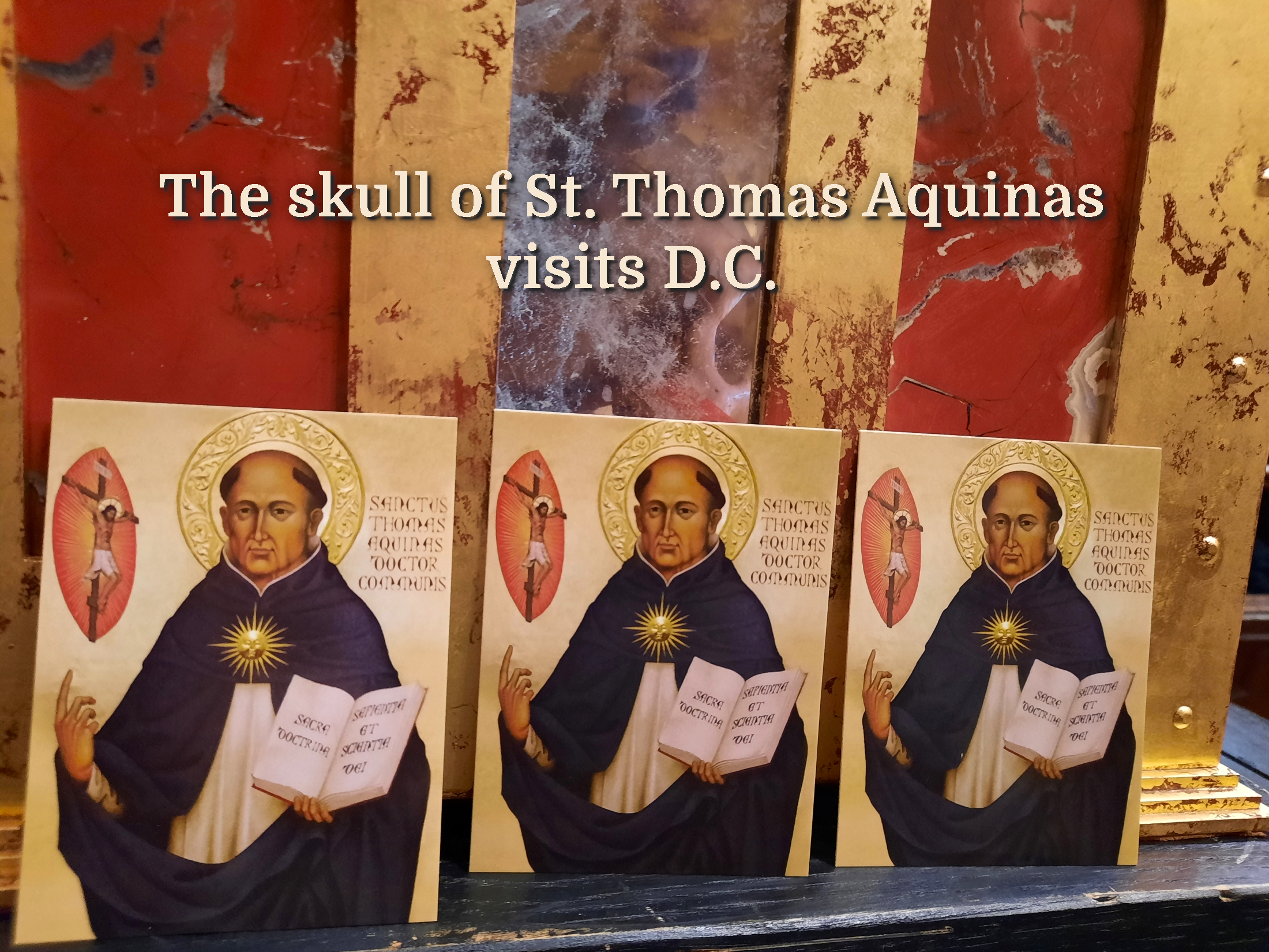 (SLIDESHOW) The skull of Saint Thomas Aquinas visits DC