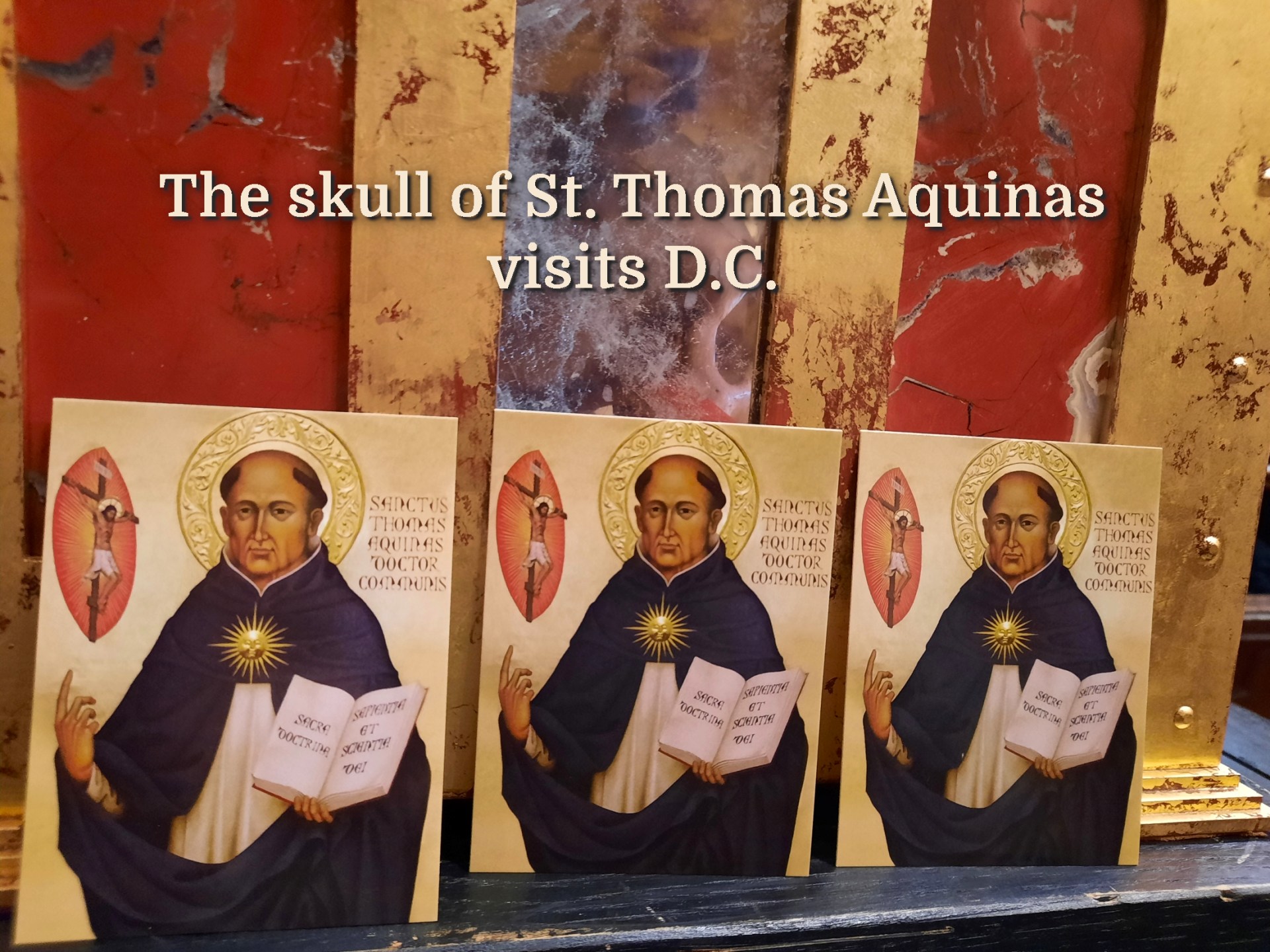SLIDE 1 - The skull of St. Thomas Aquinas visits D.C.