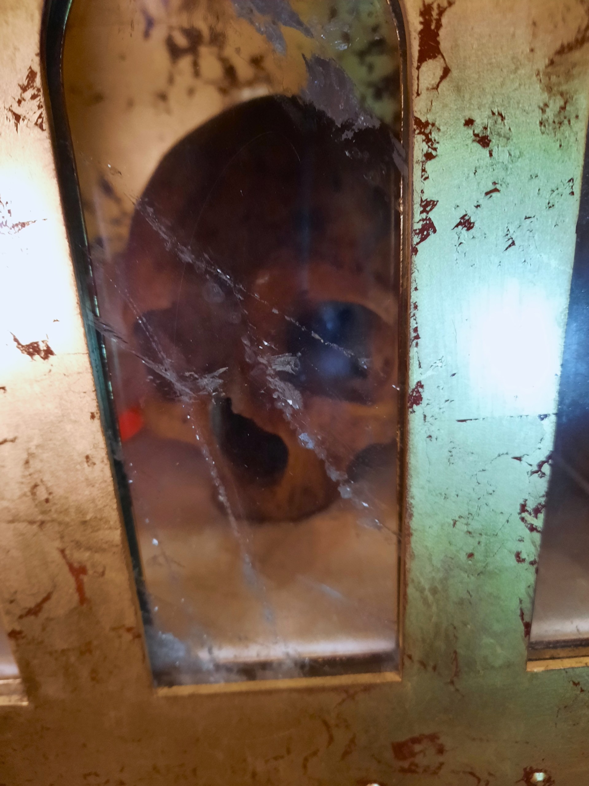 SLIDE 6 - The skull of St. Thomas Aquinas visits D.C.