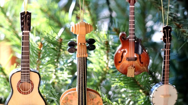 Acoustic instrument ornaments