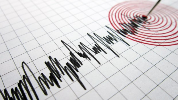 Seismograph