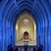 By God’s design: Trappist reflects on life of prayer, art, and marching for justice