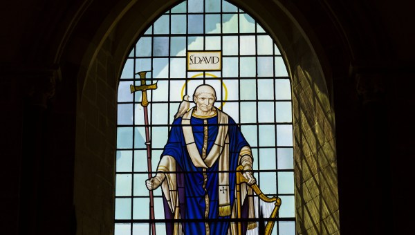 St David