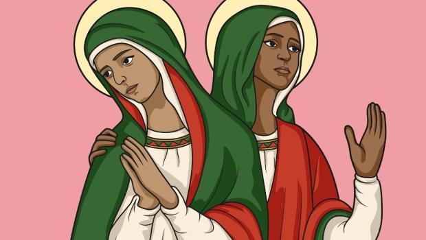felicity-perpetua-