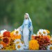 5 Easy to grow flowers to grace your Mary garden this spring