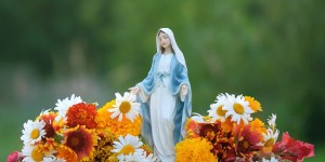 5 Easy to grow flowers to grace your Mary garden this spring