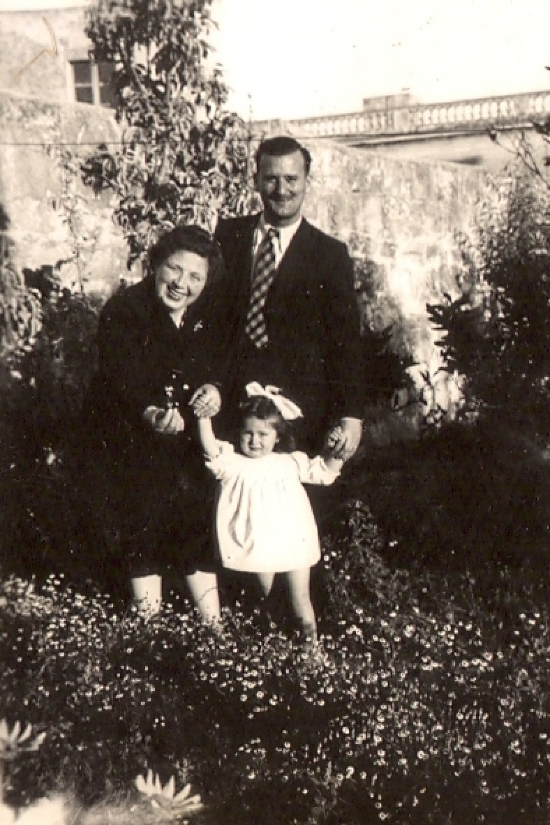 Casolani Malta