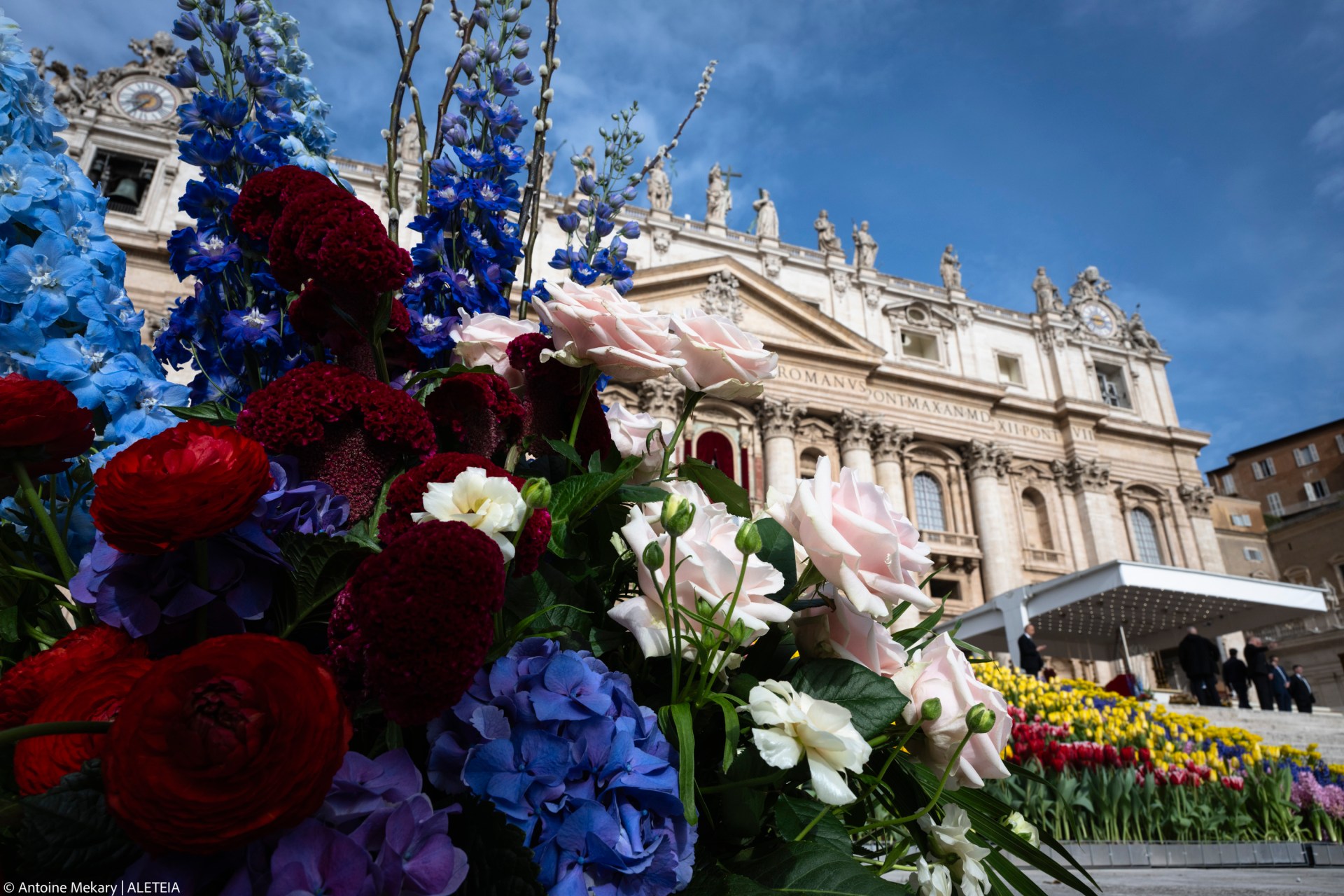 Flowers in St. Peter’s Square for Holy Week