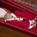 Faithful begin to pay their respects to Pope Francis (photos)