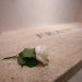St. Thérèse: Pope Francis got a white rose when he left hospital