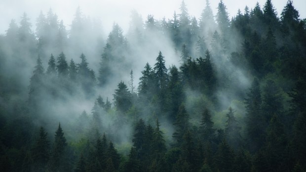 silence