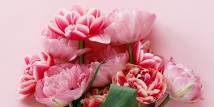 From Barbiecore to the Bible: Reclaiming the meaning of pink