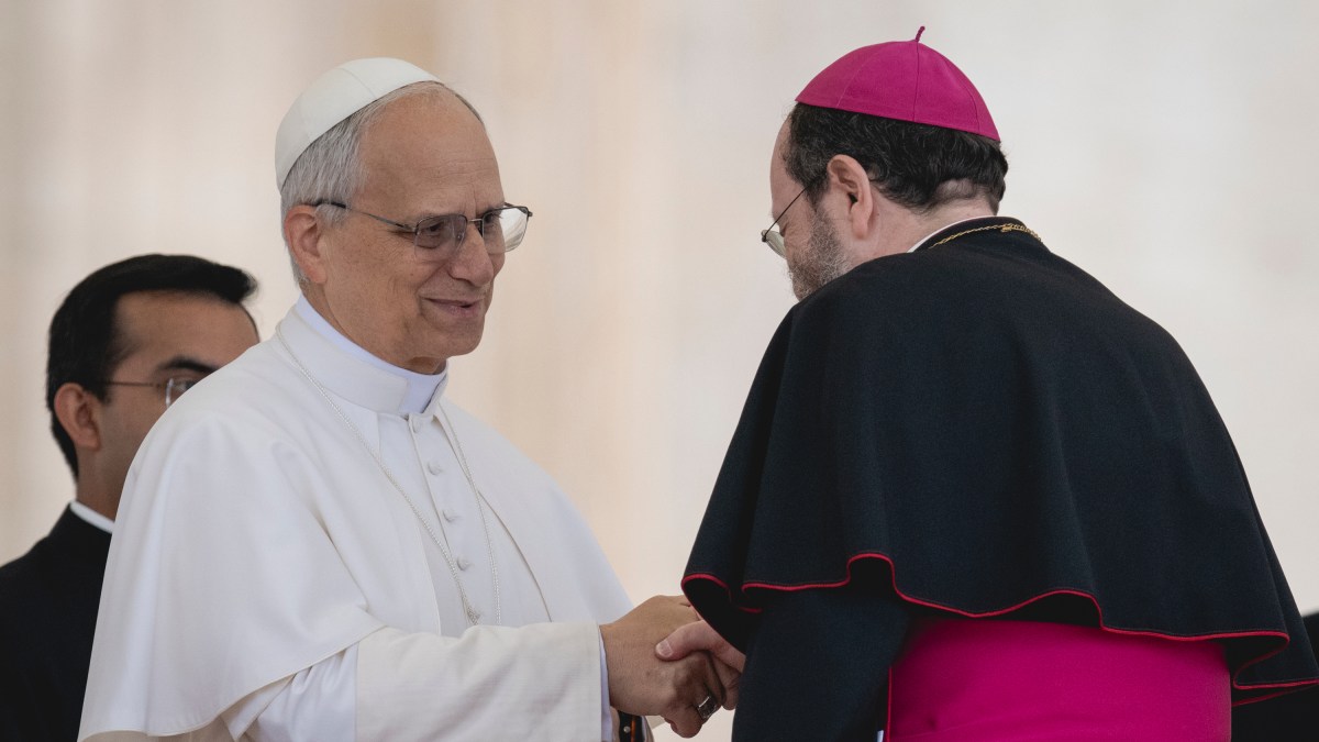 Bishop Paolo Martinelli