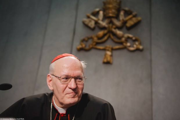 His Eminence Cardinal Peter Erdo