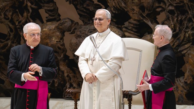 POPE-LEO-XIV-AUDIENCE-MEDIA