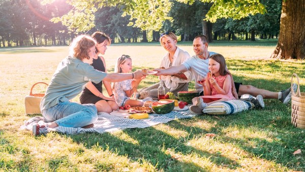 family nature picnic