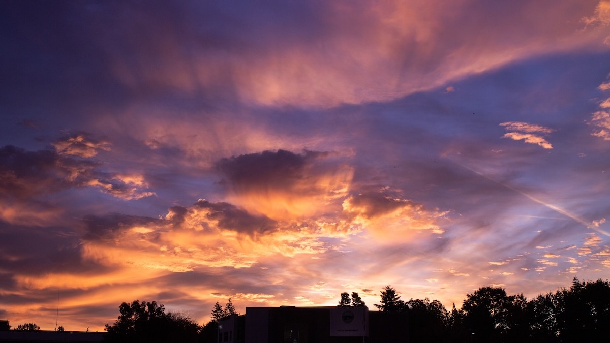 morning-sunrise-nature.jpg