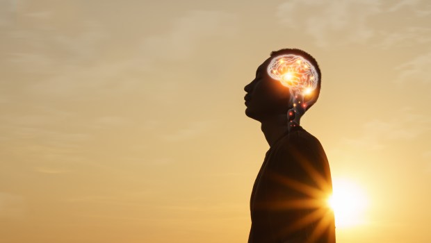 CERVEAU-INTELLIGENCE-ARTIFICIELLE-shutterstock