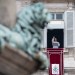War does not solve problems, insists Pope Leo XIV