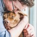 6 Comforting Bible verses when a beloved pet is sick or dying