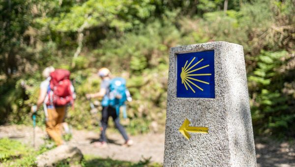 Corner Item Image - Wildfires force closure of Camino de Santiago stretch
